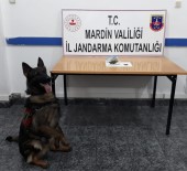 'Cesur' Uyuşturucuya Geçit Vermedi