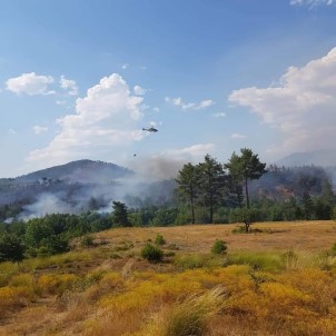 Denizli'de Orman Yangını 3 Helikopterle Kontrol Altına Alındı