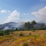 Denizli'de Orman Yangını 3 Helikopterle Kontrol Altına Alındı Haberi