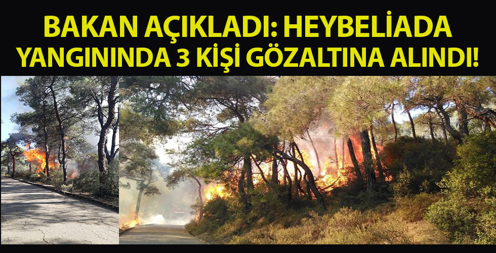 Heybeliada'da çıkan orman yangını kontrol altına alındı! 3 kişi gözaltına alındı