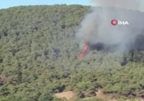Heybeliada'da Ormanlık Alanda Çıkan Yangın Kontrol Altına Alındı