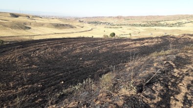 Kırıkkale'de Tarla Yangını