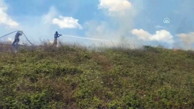 Tuzla'da Ormanlık Alanda Çıkan Yangın Söndürüldü