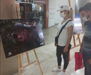 Van Büyükşehir Belediyesinden '15 Temmuz' Konulu Fotoğraf Sergisi