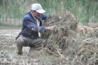 Yüksekova'da Sel Felaketi Açıklaması 10 Bin Bağ Ot Ve Bahçeler Zarar Gördü