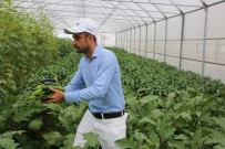 Yüzde 50 Hibeli Seralarda Yüzler Gülüyor