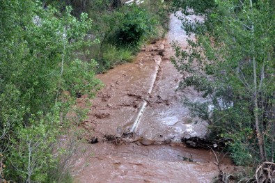Erzincan'da Sağanak Yağış Sele Dönüştü