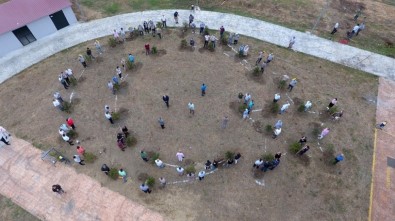 251 Şehide 251 Fidan