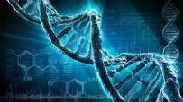 ZEKA GERİLİĞİ - Bilim dünyasında bir ilk! DNA'nın yapısını değiştirdiler