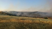 Mardin'de Ağaçlık Alanda Yangın