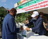 Van'da 15 Temmuz Anısına Fidan Dağıtıldı