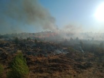 Gaziantep'te Orman Yangınında 2 Hektarlık Alan Zarar Gördü Haberi
