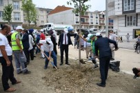 İnegöl'de 15 Temmuz Şehitleri İçin Fidan Dikildi