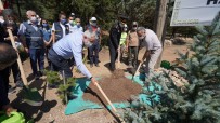 Isparta'da Protokol 15 Temmuz Ormanı'na Fidan Dikti
