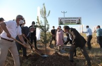 Ahlat'ta 1071 Fidan Dikildi