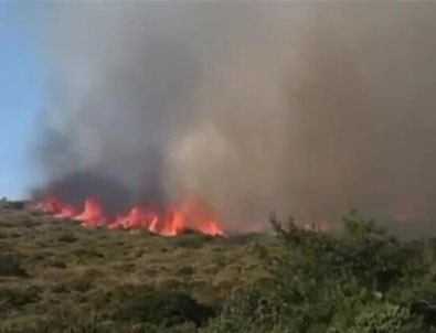 Alaçatı'da korkutan yangın!
