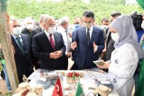 Bakan Pakdemirli Açıklaması '2020 Yılı Fındık Rekoltemizi 665 Bin Ton Olarak Öngörmekteyiz'