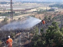 Bingöl'de İki Ayrı Noktada Çıkan Ormanı Yangını Söndürüldü