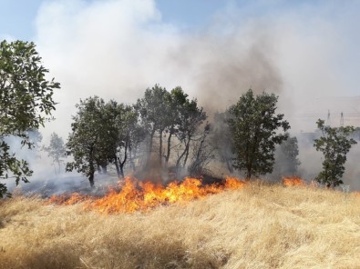 Diyarbakır'da Ağaçlık Alanda Yangın, 300 Dönümlük Alan Kül Oldu