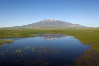Kuş Cenneti Cil Gölü'nün Havadan Görüntüsü Hayran Bırakıyor Haberi