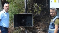 Manavgat'ta Patlayan Elektrik Panosu Orman Yangınına Sebep Oldu