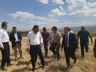 Milletvekili Çakır, Çayırlı'da Ekinleri Zarar Gören Çiftçileri Ziyaret Etti