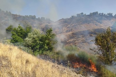 Elazığ'da 2 Gün Süren Orman Yangını Söndürüldü
