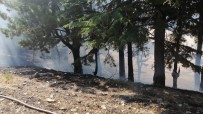 Feke'de Orman Yangını Haberi