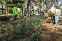 Kepez Belediyesi Daha Yeşil Bir İlçe İçin Çalışıyor