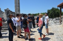 250 Seyahat Acentesi Temsilcisi Didim'i Gezdi