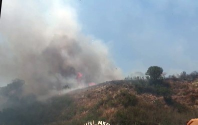 Beylikdüzü'nde Otluk Alanda Çıkan Yangın Mahalleliyi Korkuttu