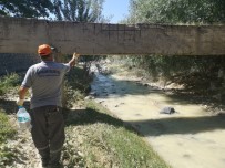 Beypazarı'nda Sivrisinek Ve Uçkunlarla Mücadele Çalışmaları