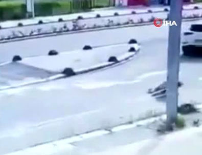 Bu nasıl vicdan! Yerde yatan köpeği...!!!