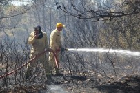 İzmir'de Korkutan Orman Yangını İle İlgili Bir Şüpheli Gözaltına Alındı