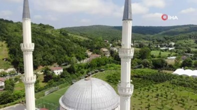 Yapıldığı Günden Beri Leyleklerin Yuvası Değirmendere Camii Görüntülendi