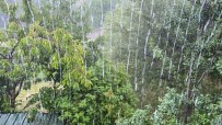 Yedisu'da Sağanak Yağış Etkili Oldu