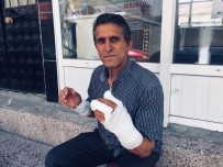 Yozgat'ta Ayının Saldırısına Uğrayan Adam Yaralandı Haberi