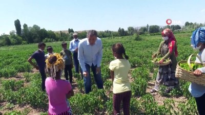 Bakan Selçuk, Tarladaki Çocukları 'Arkadaş' İle Buluşturdu