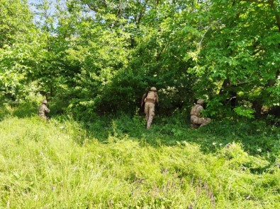 Hakkari'de Yıldırım-2 Cilo Operasyonu