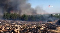 Şanlıurfa'da Orman Yangını Haberi