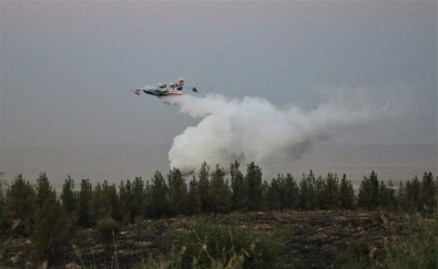Şanlıurfa'daki Orman Yangını Kontrol Altına Alındı