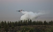 Şanlıurfa'daki Orman Yangını Kontrol Altına Alındı Haberi