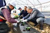 Yeşilyurt'ta Doğal Ve Organik Ürünlerle Bölge Ekonomisine Destek