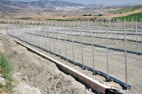 Beypazarı Belediyesi'nden Çiçek Ve Sebze Fidesi Üretimine Destek