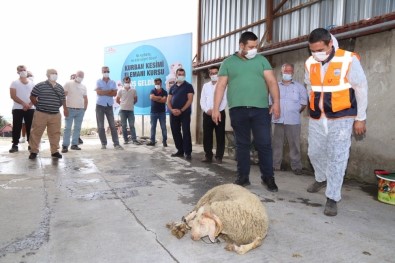 Büyükçekmece'de Uygulamalı Kurban Kesimi Kursu