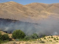 Elazığ'daki Orman Yangını Söndürüldü Haberi