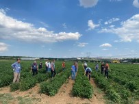 ETSO'nun Organik Tarım Uygulamaları Eğitimi 1. Modülü Tamamlandı