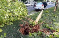 Gaziantep'te Ehliyetsiz Sürücü Dehşeti