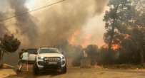 İzmir'de Orman Yangını Kontrol Altında Haberi