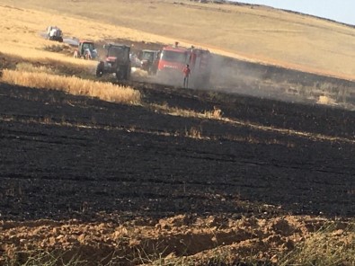 Niğde'de 50 Dönümlük Arpa Tarlası Kül Oldu
